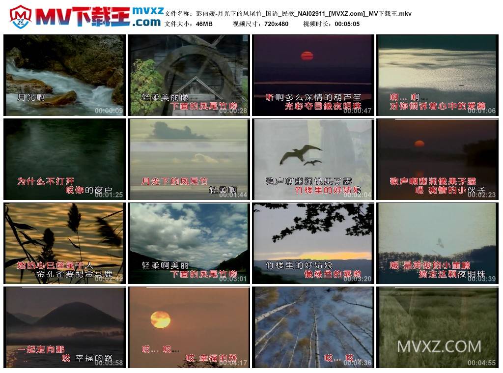 彭丽媛-月光下的凤尾竹_国语_民歌_NAI02911